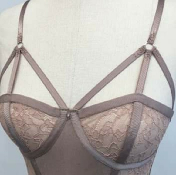 Meet your Posher, Robin - Picture 3 of 8